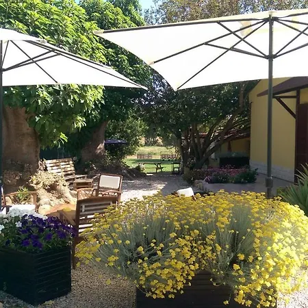 Pintadera 3* Santa Maria la Palma