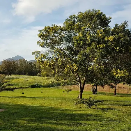 Pintadera Affittacamere Santa Maria la Palma