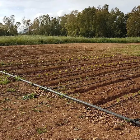 Pintadera Affittacamere