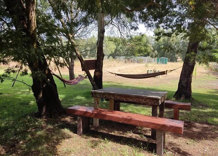 Pintadera 게스트하우스 산타마리아라팔마