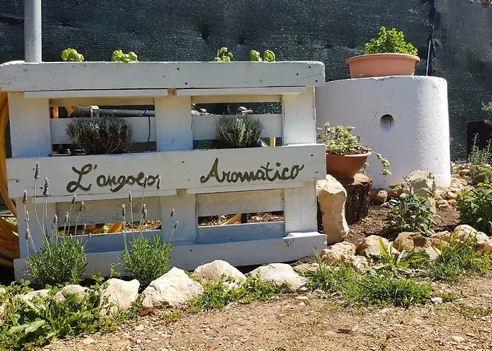 Pintadera 산타마리아라팔마